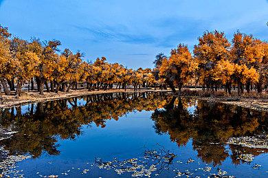 放置类养成游戏《勇者蛋生》现已在Steam平台正式推出